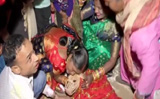 Sweety weds Sheru: Haryana couple conducts Hindu wedding rituals for two pet dogs